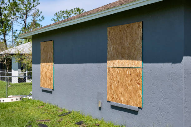 Best Siding Removal and Disposal  in Pquemine, LA